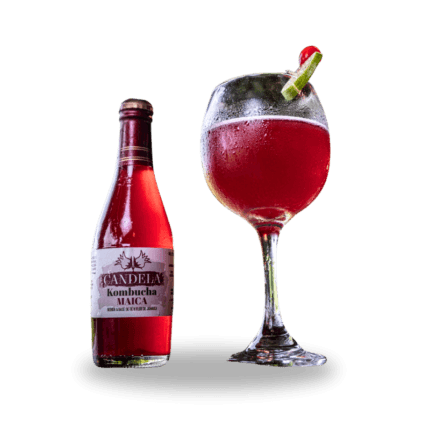 Bebida Natural de Kombucha