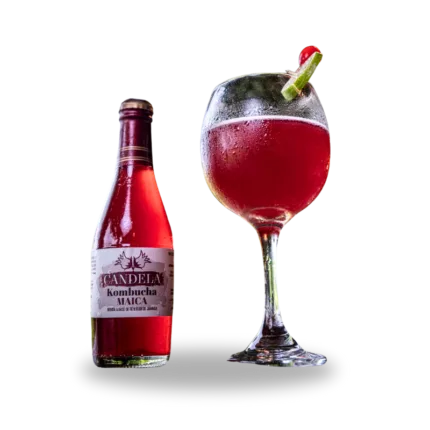 Bebida Natural de Kombucha