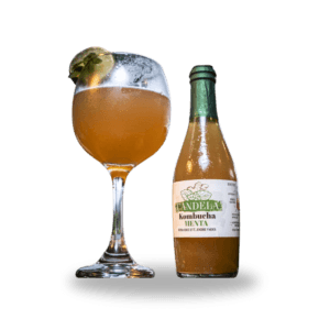 Bebida Natural de Kombucha.