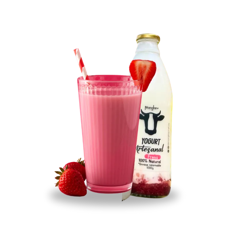Yogurt Natural y Artesanal.