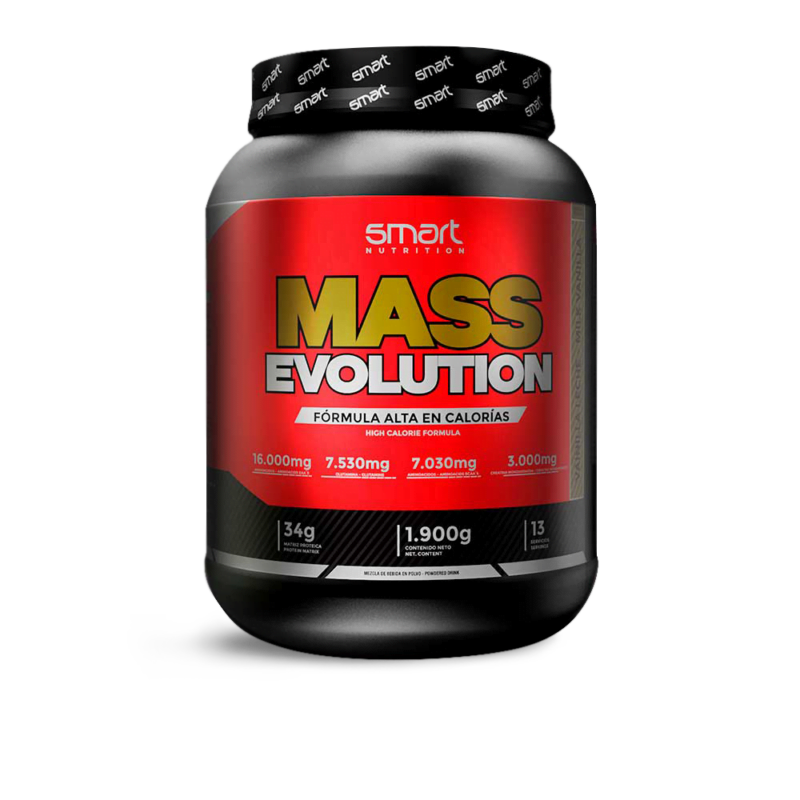 Mass Evolutión 4L