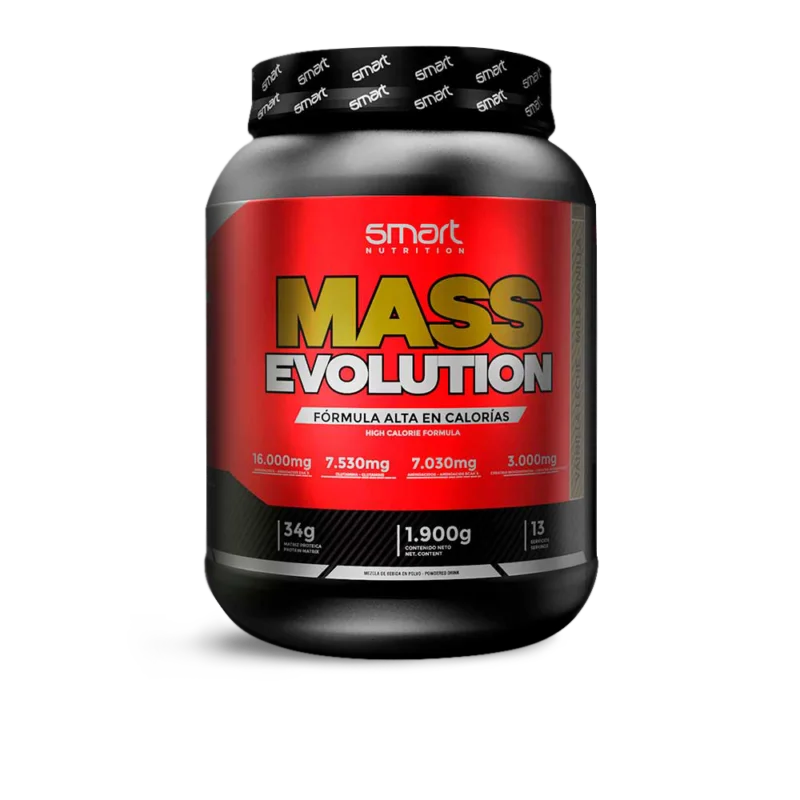 Mass Evolutión 4L